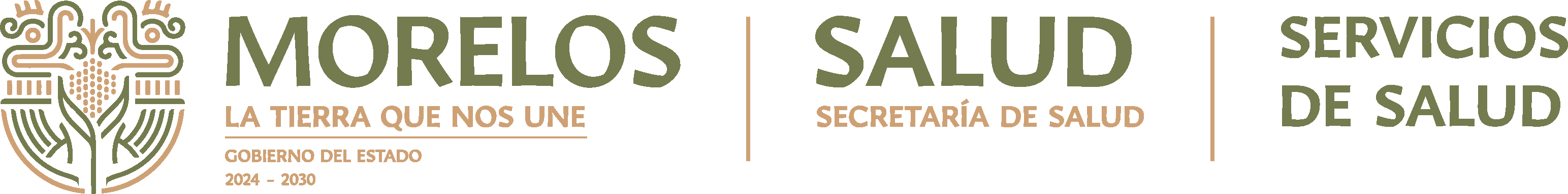 Servicios de Salud de Morelos